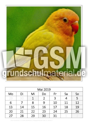 Mai_Unzertrennliche.pdf